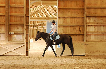 Lighted Arena and Attached Round Pen