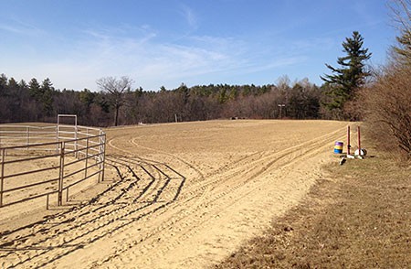 Outdoor Jumping Arena and Round Pen
